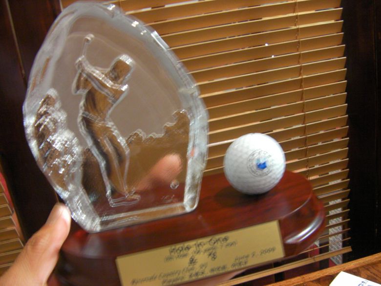 inha%20hole%20in%20plag.jpg